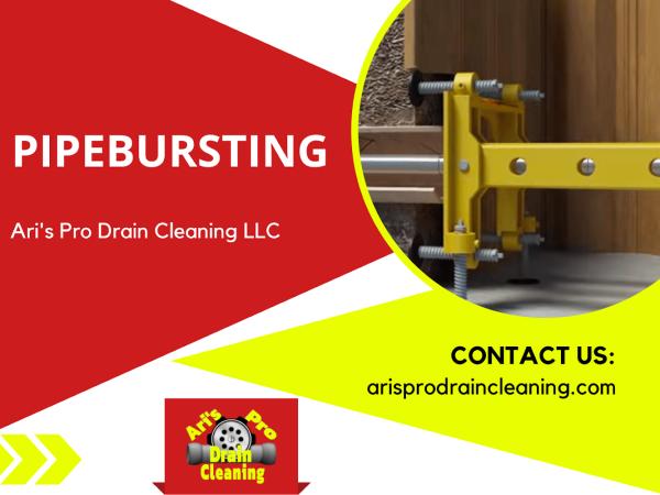 Ari's Pro Drain Cleaning