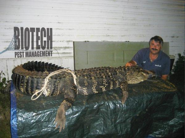 Biotech Pest Management