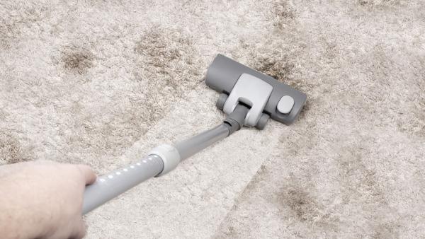 Carpet Cleaning Extraordinaires