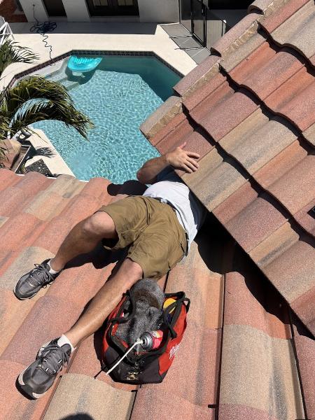 Rat Patrol Rodent Control