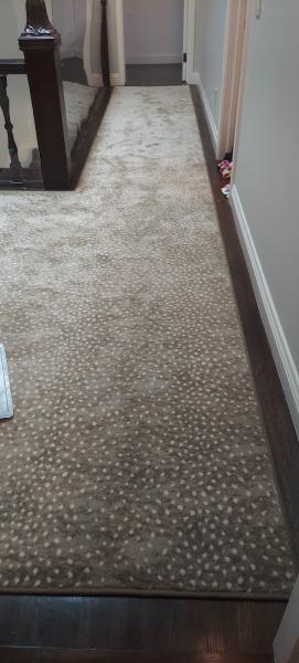 Lester Carpet Co