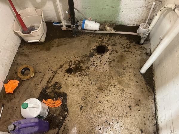 The Rooter Guys Plumbing