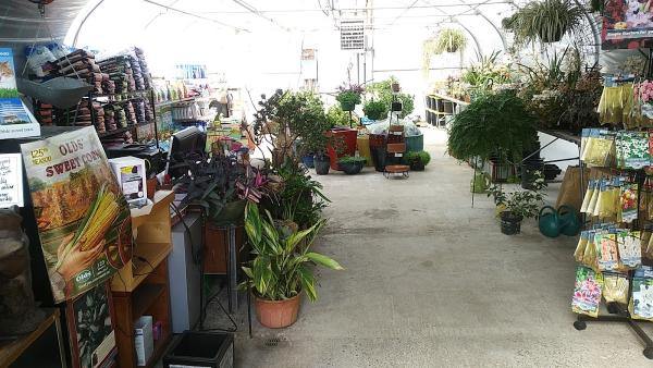 Kathy's Corner