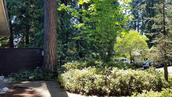 Knotwood Landscaping