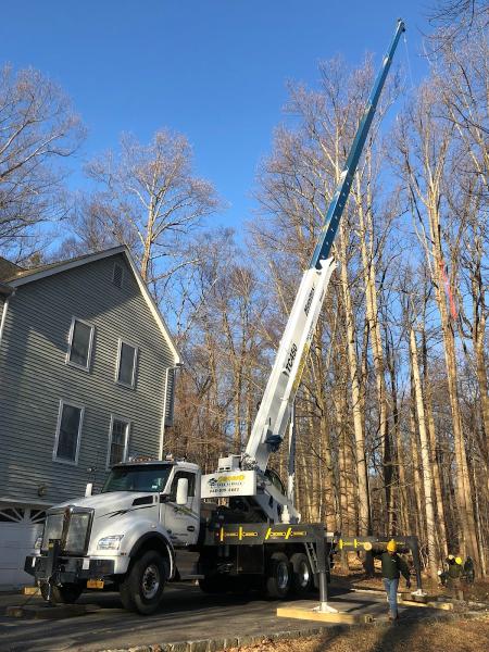 Osorio Tree Service