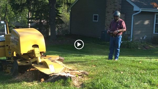 Hoffman Stump Grinding