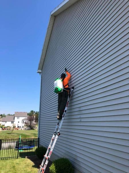Deadone Pest Control