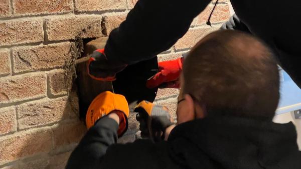 Cura Chimney & Masonry LLC