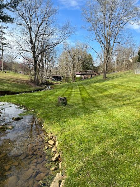 Lawn Enforcement Mowing
