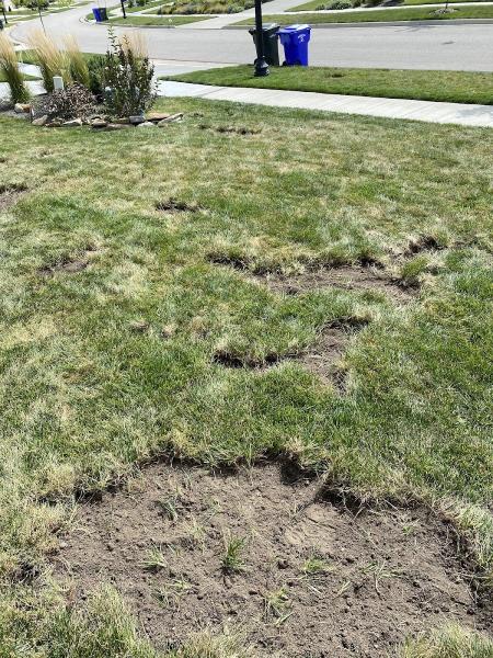 Meehan's Lawn Service