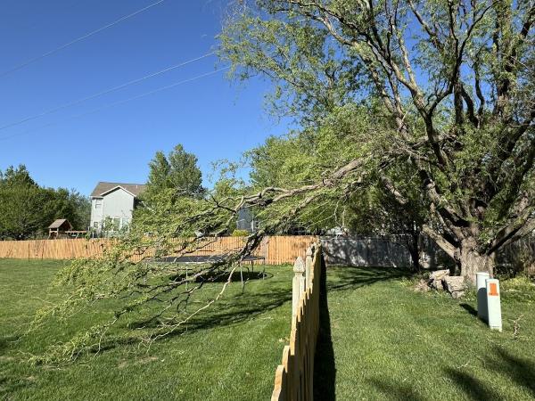 Grade-A Tree Care