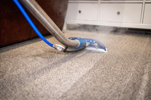 The Carpet Sanitizers