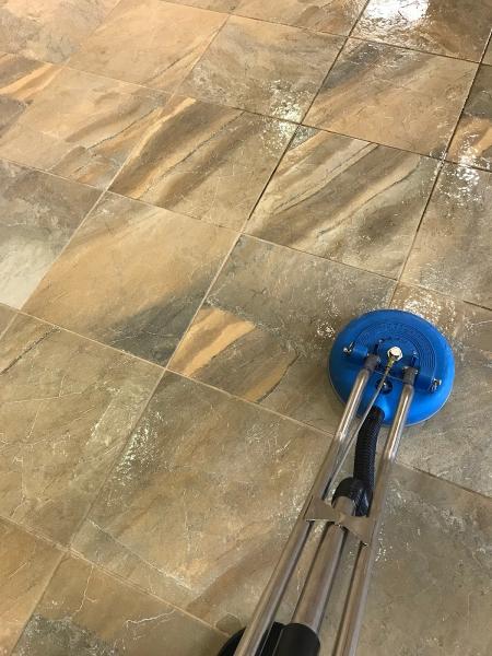 The Carpet Sanitizers