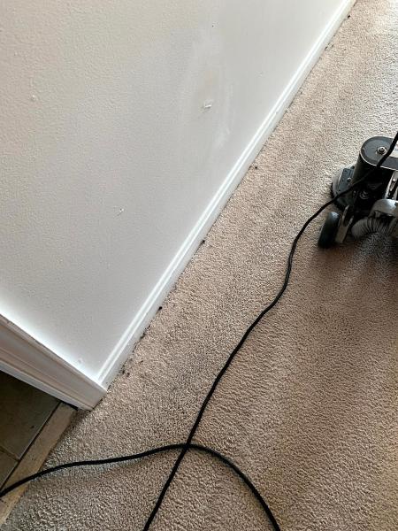 The Carpet Sanitizers