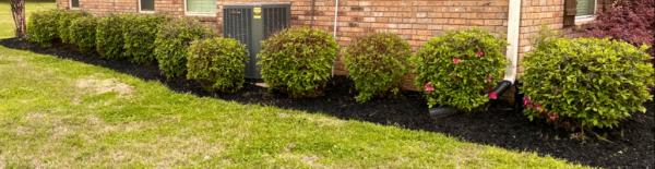 Northpro Landscaping and Lawncare