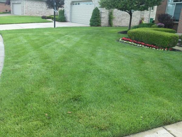 Fertilizer Plus