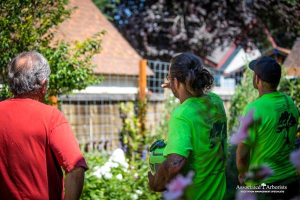Associated Arborists