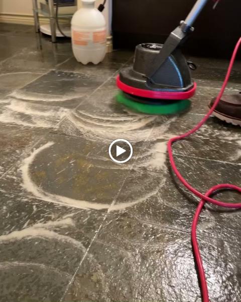 K9 Carpet Cleaning