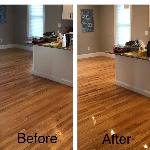 K9 Carpet Cleaning