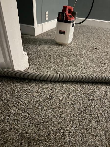 K9 Carpet Cleaning