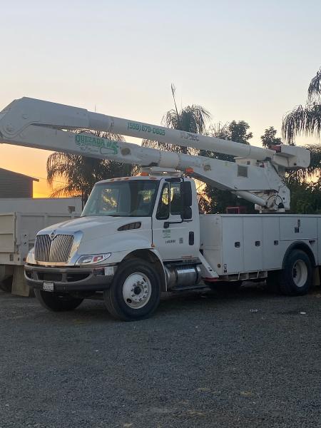 Quezada Landscaping & Tree Service