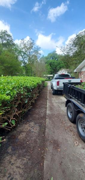 Silverback Lawncare