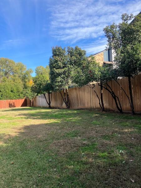DFW Flores Tree Service Llc