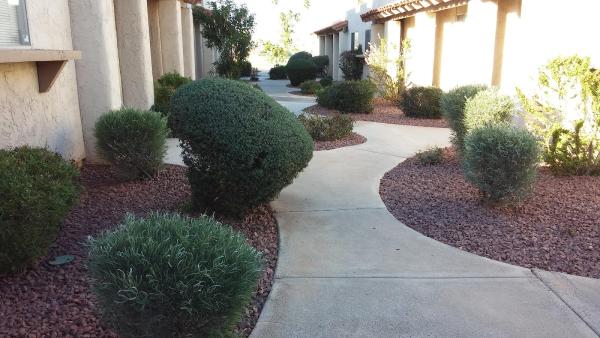 Desert Affects Landscaping