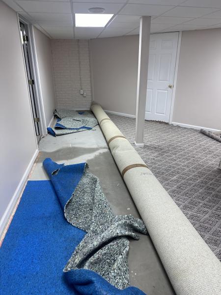 Apex Restoration & Mitigation Inc.