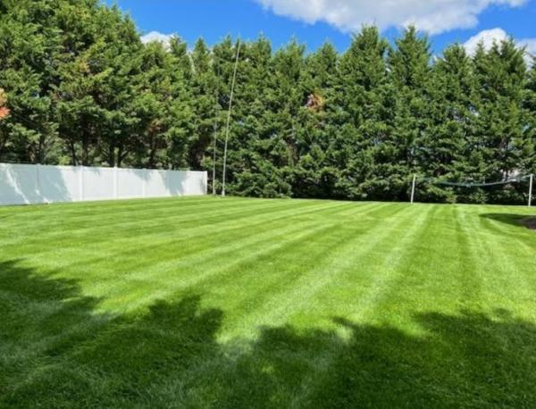 MR Lawns