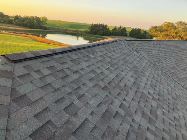 Turtle Roofing