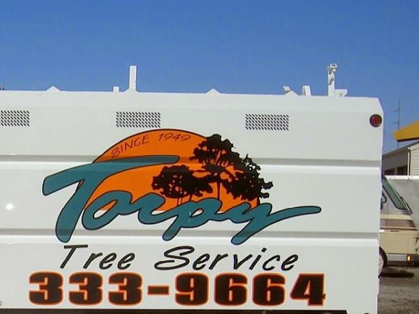 Torpy Tree Service