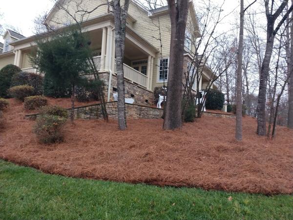 J & Son Landscaping