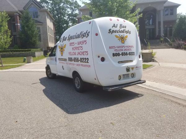 A1 Bee Specialists Bees Wasps Hornets Nest Removal