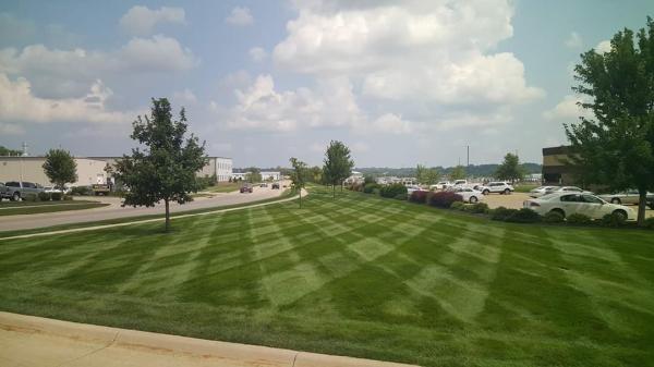 Turf Masters Lawn & Landscape