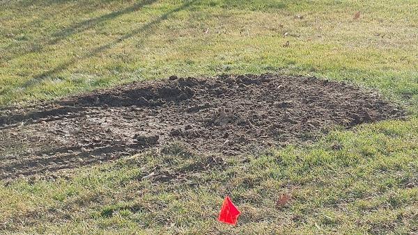 Wheatcraft Tree and Lawn