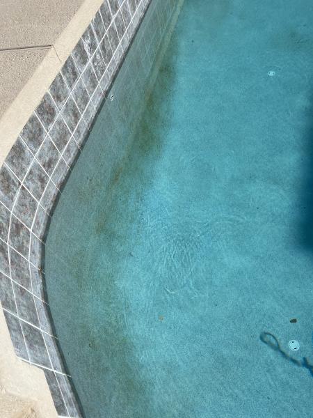 Shimmering Waters Pool Services