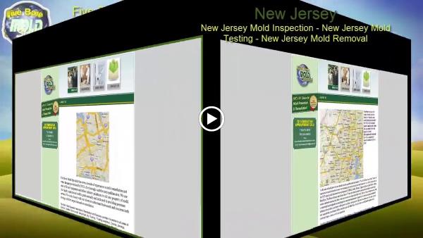 Five Boro Mold Specialist