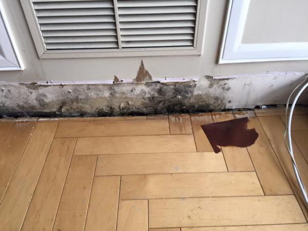 Five Boro Mold Specialist