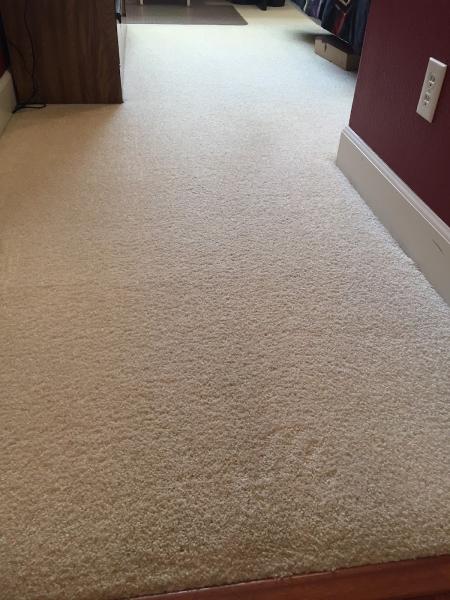 Gooses Carpet and Stone Cleaning