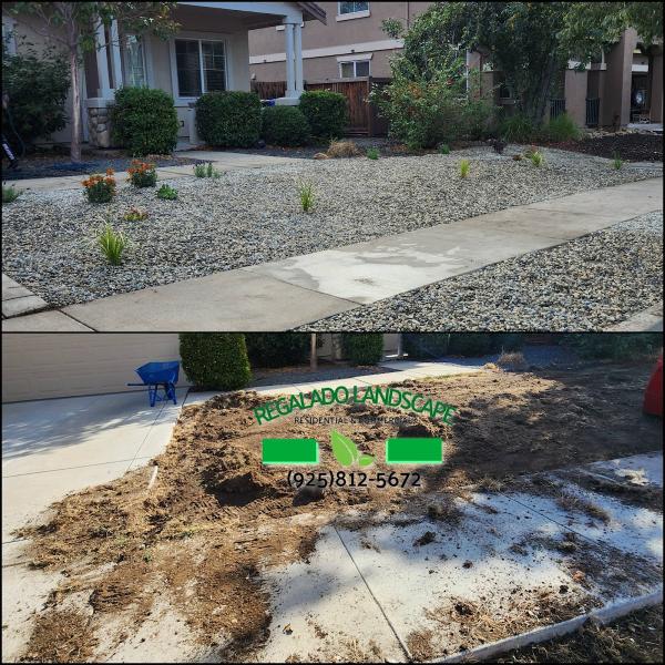 Regalado Landscape & Maintenance