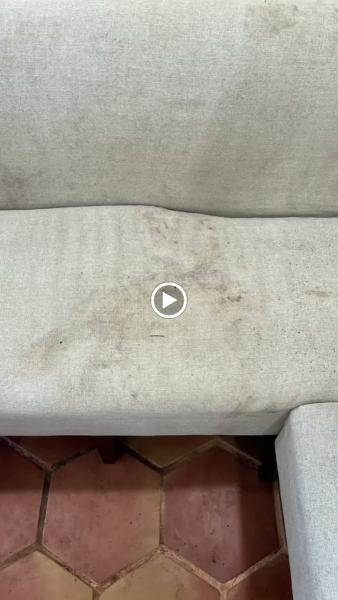 Cleanigy Carpet & Upholstery Cleaning