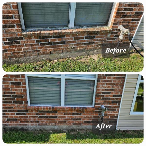 Coastal Pristine Pressure Washing LLC