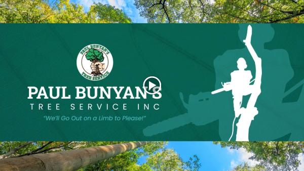 Paul Bunyan's Tree Service Inc