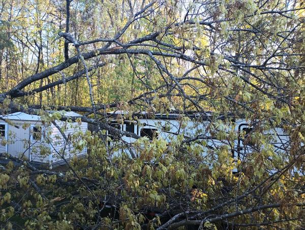 Paul Bunyan's Tree Service Inc