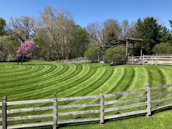 Select Lawn Services
