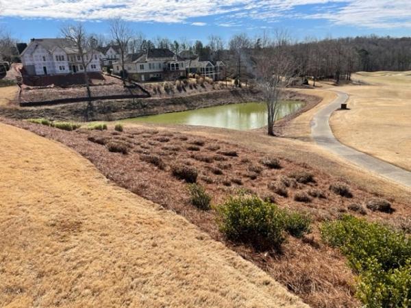 Chestatee River Landscape