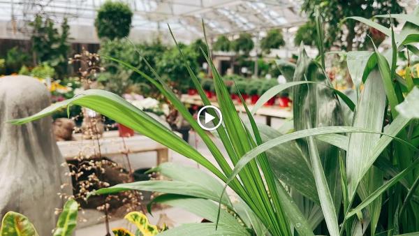 Pete's Greenhouse