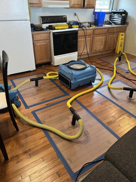 Full Restoration Service