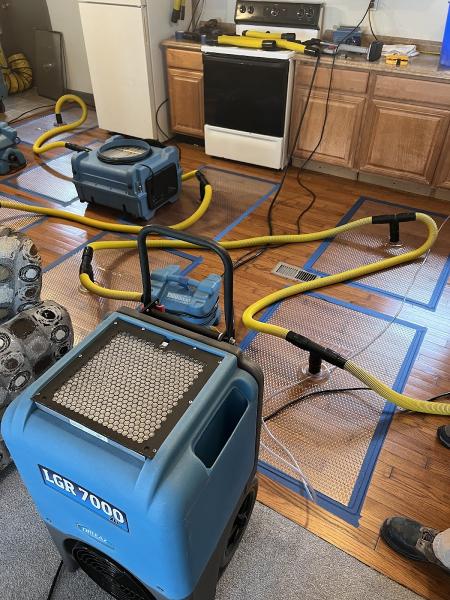 Full Restoration Service